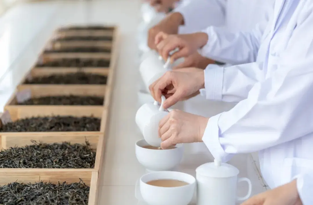 Мэнхайская чайная фабрика taetea (Да И)