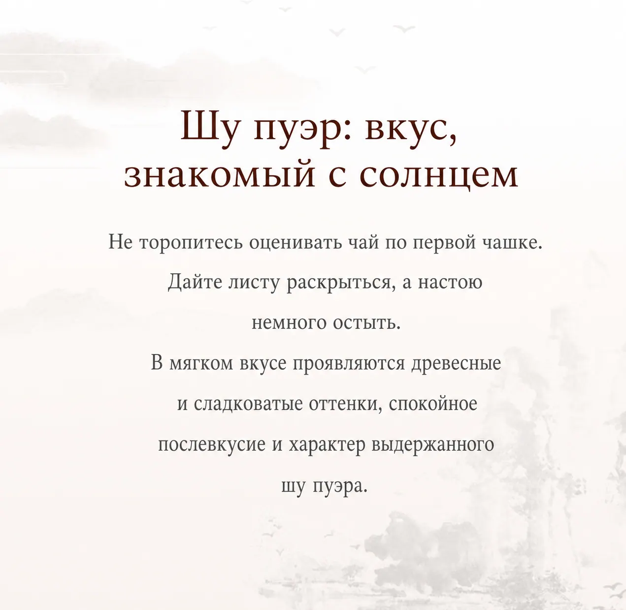Дегустационная заметка о вкусе шу пуэра «Пу Чжи Вэй»